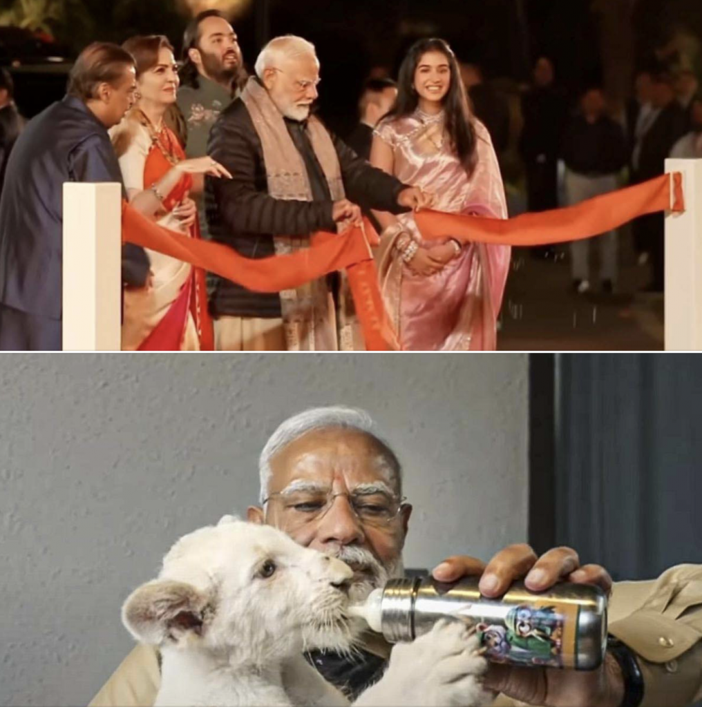 PM Modi Inaugurates Vantara In Jamnagar, Feeds Lion Cubs, Giraffes